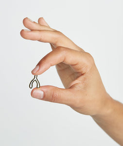 Wishbone Pin
